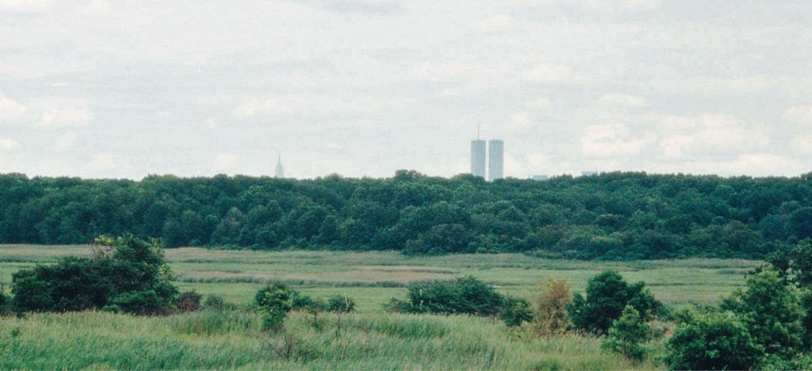 “Earlier favorite viewpoint of the classical Manhattan skyline from the top of the North Mound showing the World Trade Center towers and the Empire State Building: the scale of that huge city’s waste makes the scale of this site.” Mierle Laderman Ukeles. Penetration and Transparency: Morphed (detail). Six-channel video. 2001–02