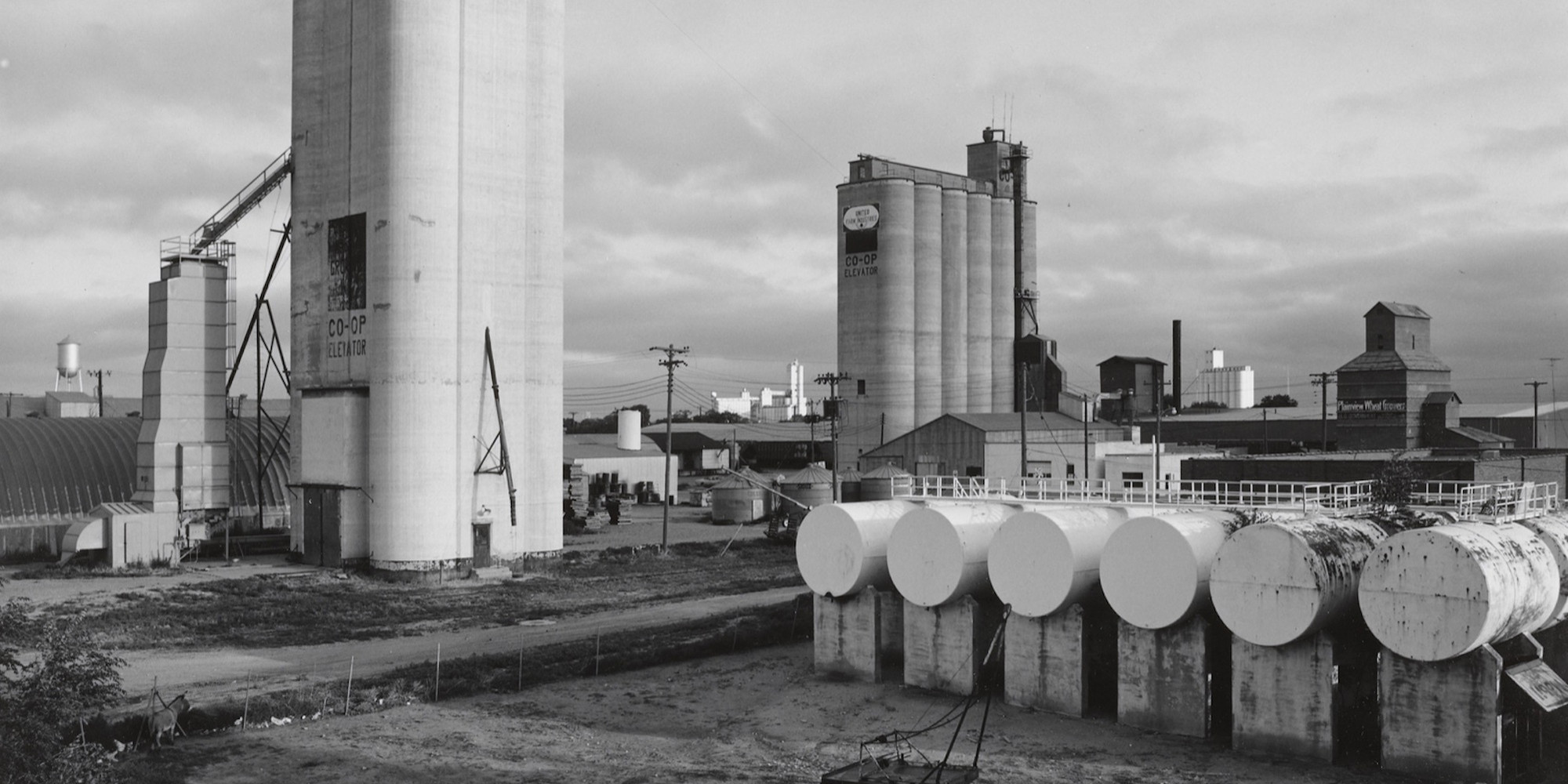 Frank Gohlke. Grain Elevators, Plainview, Texas. 1975–78. Gelatin silver print. The Museum of Modern Art, New York. Gift of the artist. © 2023 Frank Gohlke
