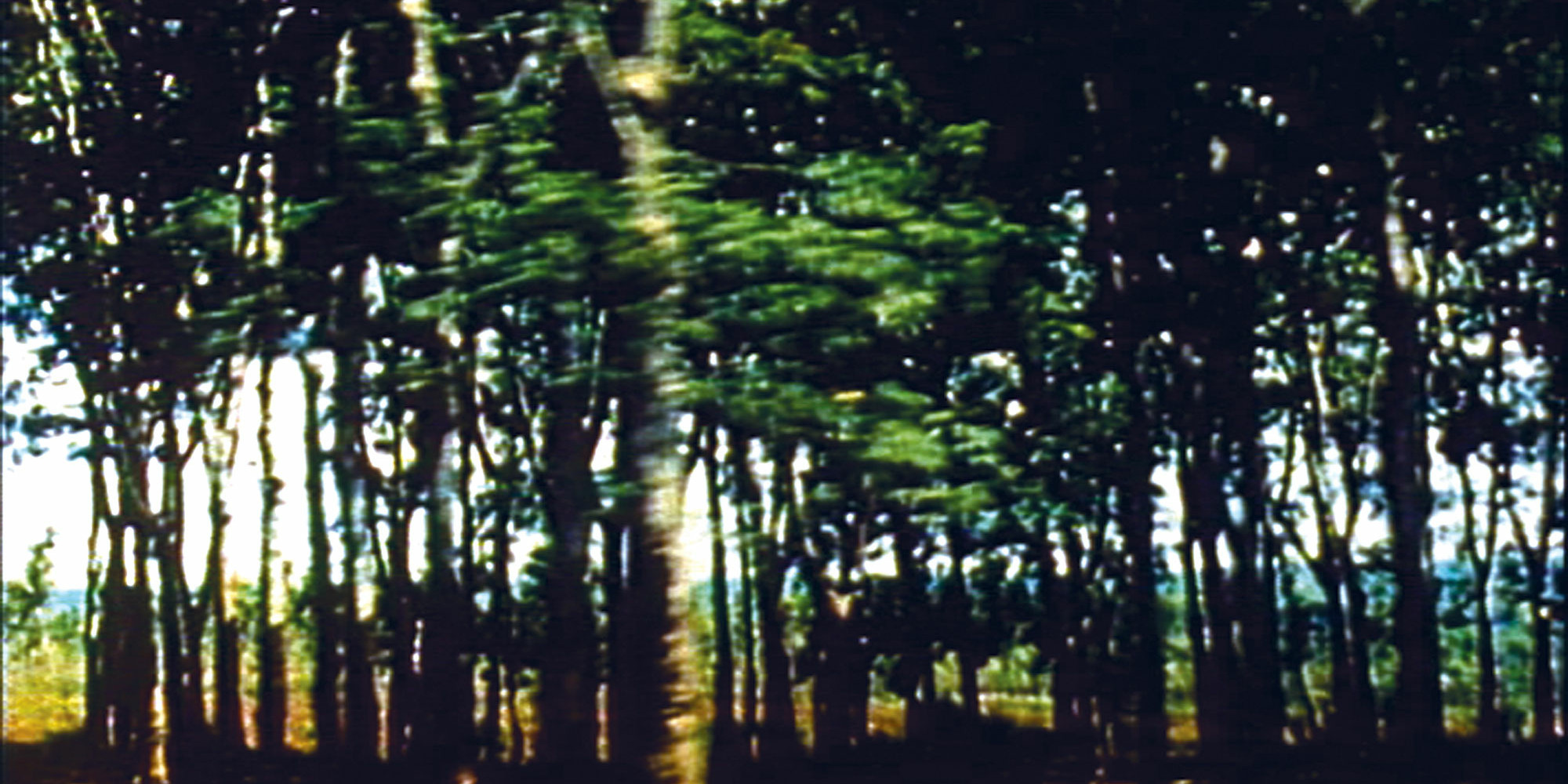 Which Way Is East: Notebooks from Vietnam. 1994. USA. Directed by Lynne Sachs in collaboration with Dana Sachs. Courtesy Icarus Films