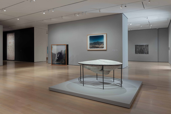 Installation view of the exhibition Chosen Memories: Contemporary Latin American Art from the Patricia Phelps de Cisneros Gift and Beyond, April 30–September 9, 2023