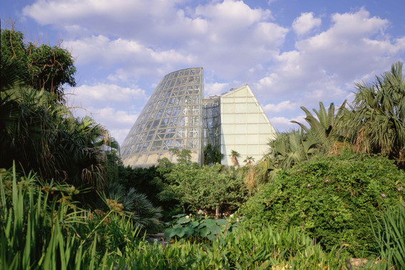 Emilio Ambasz & Associates. Exterior view of eastern greenhouse at Lucile Halsell Conservatory, San Antonio, Texas. 1982