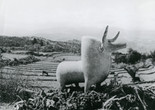 Tappe-haye Marlik (The Hills of Marlik).1963. Iran. Directed by Ebrahim Golestan. Courtesy Ehsan Khoshbakht