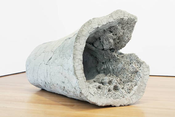 Adrián Villar Rojas. Sin título, de la serie Return the World. 2012
