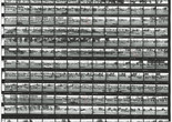 Ed Ruscha. Contact sheet with images of Sunset Boulevard shoot. 1966. Getty Research Institute, Research Library, Edward Ruscha photographs of Sunset Boulevard and Hollywood Boulevard, 1965–2010. © 2023 Edward Ruscha