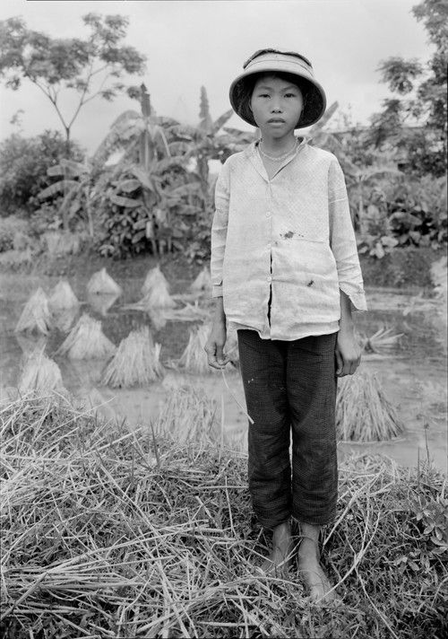 An-My Lê. Untitled, Nam Ha, from the series Viêt Nam (1994–98). 1994