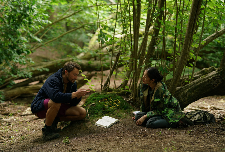 Here. 2023. Belgium. Directed by Bas Devos. Courtesy Cinema Guild