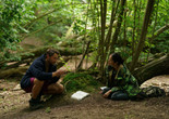 Here. 2023. Belgium. Directed by Bas Devos. Courtesy Cinema Guild