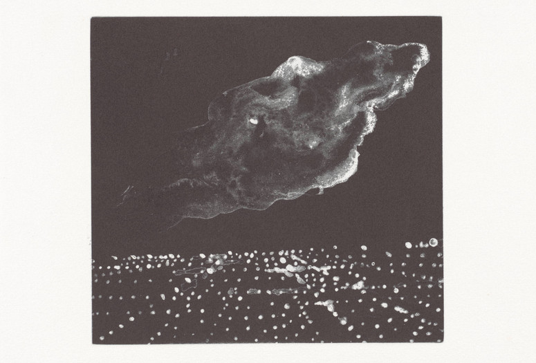 Peter Alexander. Untitled from LAX. 1990. One from a bound album of eight white-ground aquatints, plate (dimensions vary): 3 3/8 × 3 5/8&#34;–6 7/8 × 7 3/8&#34; (8.6 × 9.2 cm–17.5 × 18.8 cm); page: 13 × 11 7/16&#34; (33 × 29 cm). Publisher: Jacob Samuel. Printer: Jacob Samuel. Edition: 16. The Museum of Modern Art, New York. Gift of Jacob and Yael Samuel in honor of Dr. Lee Sussman. © 2023 Peter Alexander. Used by permission