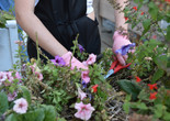 A photo of the Lower Eastside Girls Club’s rooftop garden, 2022. Image courtesy Lower Eastside Girls Club