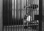 Man, Woman and Sin. 1927. USA. Directed by Monta Bell. Courtesy George Eastman Museum