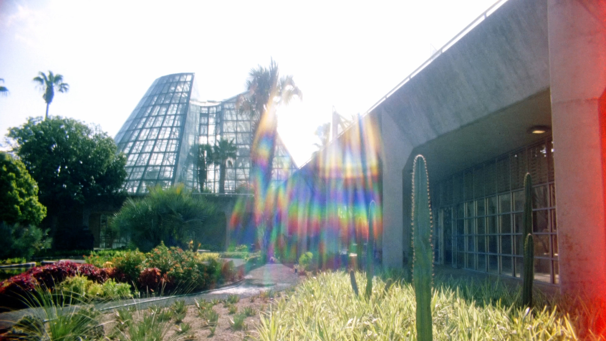 A still from the final episode of the Built Ecologies: Architecture and Environment video series. © 2022 The Museum of Modern Art, New York