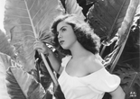 Subida al cielo (Ascent to Heaven, aka Mexican Bus Ride). 1952. Directed by Luis Buñuel. Courtesy of Filmoteca UNAM.