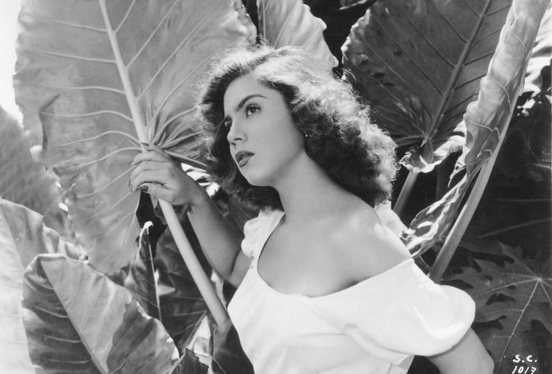 Subida al cielo (Ascent to Heaven, aka Mexican Bus Ride). 1952. Directed by Luis Buñuel. Courtesy of Filmoteca UNAM.