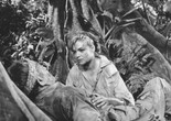 La mort en ce jardin (Death in the Garden). 1956. Directed by Luis Buñuel. Courtesy of Photofest.