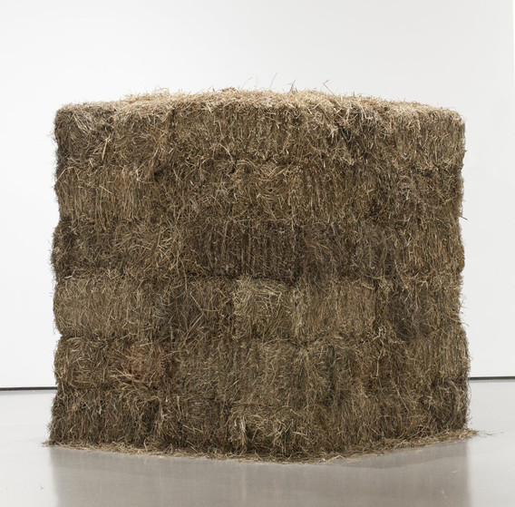 Cildo Meireles. Thread. 1990–95