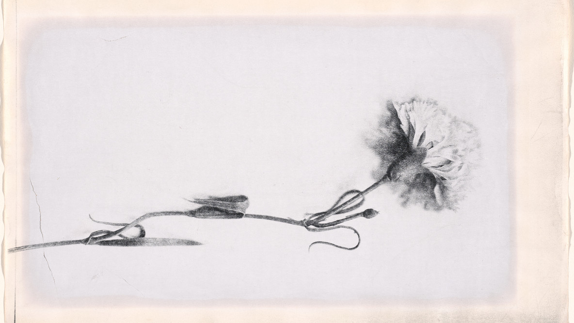 Claudio Perna. Untitled. c. 1970. Photocopy on paper, 8 1/2 × 14 1/4&#34; (21.6 × 36.2 cm). Gift of Patricia Phelps de Cisneros through the Latin American and Caribbean Fund in honor of Federica Rodríguez-Cisneros. © 2024 Claudio Perna/Licensed by VAGA, New York