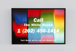 Call the White House