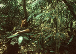 Tropical Malady. 2004. Thailand/France. Directed by Apichatpong Weerasethakul. Courtesy Strand Releasing