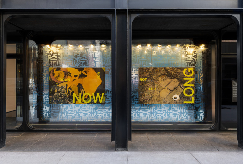 Installation view of The Modern Window: Dena Yago, The Museum of Modern Art, New York, November 1, 2023–October 31, 2024. Photo: Emile Askey