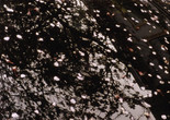 Apricity. 2019. USA. Directed by Nathaniel Dorsky. Courtesy of Nathaniel Dorsky.