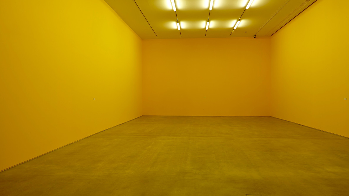Héctor Fuenmayor. Citrus 6906. 1973/2014. Wall paint and vinyl, Dimensions variable. Gift of Patricia Phelps de Cisneros through the Latin American and Caribbean Fund in honor of Lord and Lady Foster