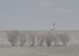 A different kind of tender. 2023. USA. Directed by Katherine Simóne Reynolds. Courtesy the artist