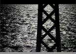 Riding with Michaux. 2008. Directed by Jamie Nares. Courtesy of the artist.