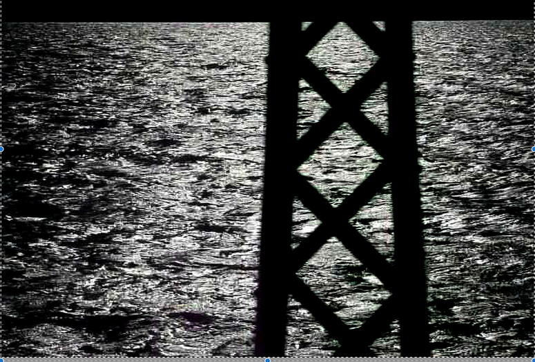 Riding with Michaux. 2008. Directed by Jamie Nares. Courtesy of the artist.