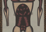 Christina Ramberg. Wired. 1974–75. Acrylic on board, 48 × 36&#34; (121.9 × 91.4 cm). The Museum of Modern Art, New York. Gift of Agnes Gund Image description: The anthropomorphic form of a female body, painted to appear sewn from thread. The thin cylindrical arms, small wide breasts, intestine-like abdomen, and vulva all are a dense dark red color, similar to muscles. The wide chest, skinny legs, and forearms with the shape of hips and closed legs that cut off above the ankles are a pale sandy color with thin, black lines crossed like chain-mail. The links unravel around the mid-chest, the opening to the abdomen, and around the vulva, like pubic hair.