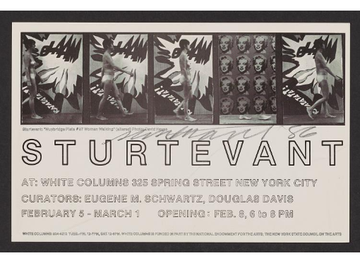 Elaine Sturtevant papers, c. 1960–2014, bulk 1990–2014. “Series: Printed Material”