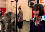 Best in Show. 2000. USA. Directed by Christopher GuestImage description: Film still of a Weimaraner dog secured by a leash on a grooming table next to a woman with a short bob of black hair, her mouth full of braces and agape in frustration.