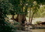 Chigh. 1995. Iran. Directed by Mohammad Reza Aslani. Courtesy Gita Aslani Shahrestani