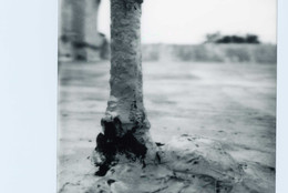 Gianna Surangkanjanajai. ROOF. STUB?. 2023. Polaroid. Courtesy the artist