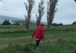 Robert and June (Cape Breton and NYC) [work in progress]. 2024. USA/Canada. Directed by Jem Cohen. Courtesy the filmmkaer