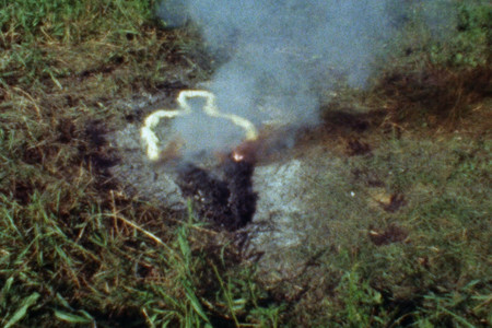 Ana Mendieta. Untitled: Silueta Series. 1978. Super 8mm film transferred to video (color, silent), 3:14 min. © 2024 The Estate of Ana Mendieta Collection, LLC/Licensed by Artists Rights Society (ARS), New York