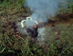 Ana Mendieta. Untitled: Silueta Series. 1978. Super 8mm film transferred to video (color, silent), 3:14 min. © 2024 The Estate of Ana Mendieta Collection, LLC/Licensed by Artists Rights Society (ARS), New York