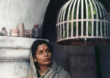 Māyā Miriga. 1984. India. Directed by Nirad Mohapatra. Courtesy Film Heritage Foundation
