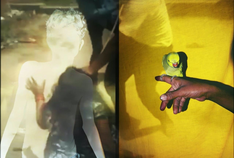 Sohrab Hura. The Lost Head and the Bird. 2019. Video (color, sound). 10:13 min. The Museum of Modern Art, New York. Fund for the Twenty-First Century. © 2024 Sohrab Hura. Courtesy of Experimenter, Kolkata