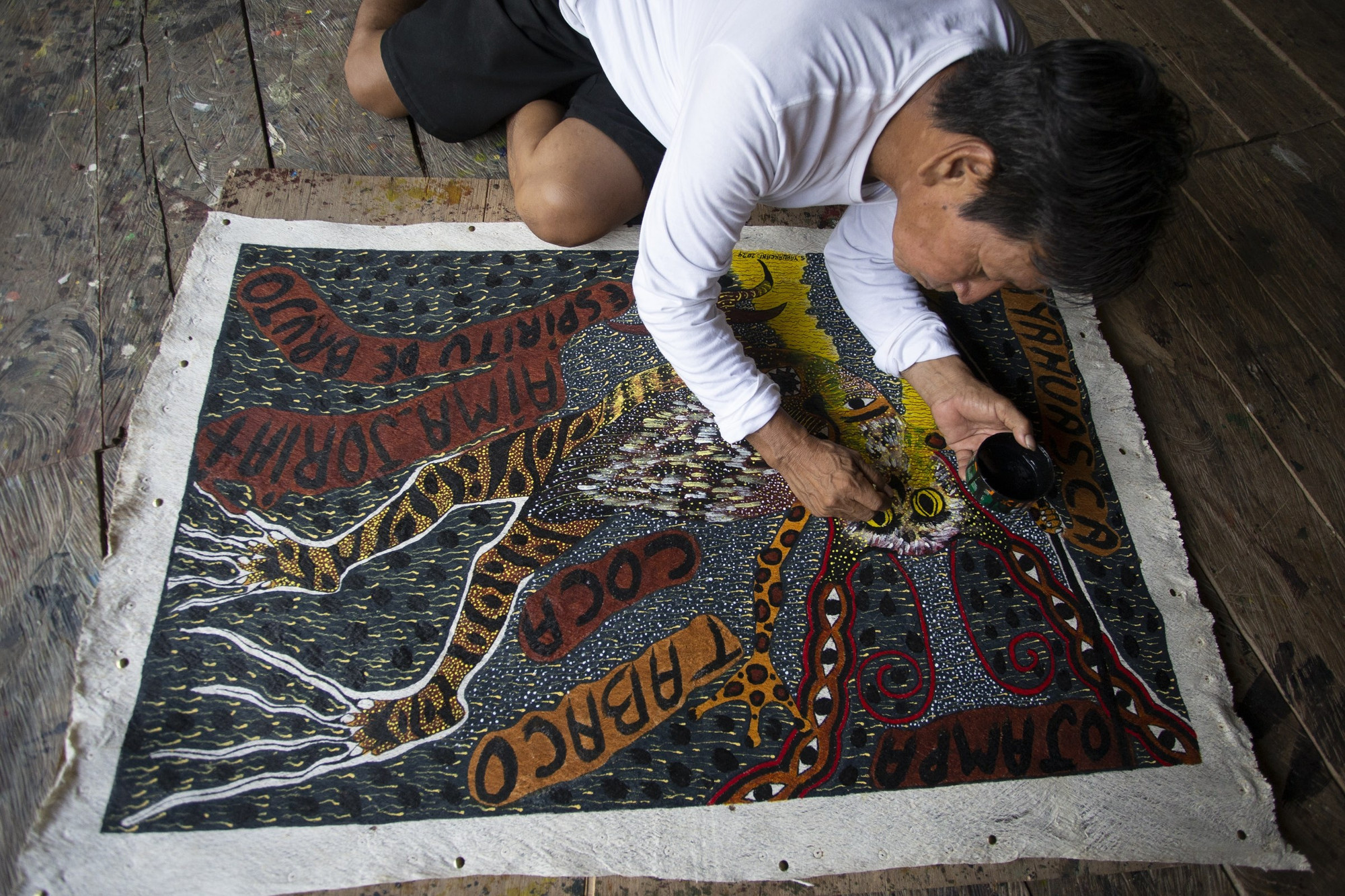 As the Amazon Shrinks, the Message Grows Louder Magazine MoMA