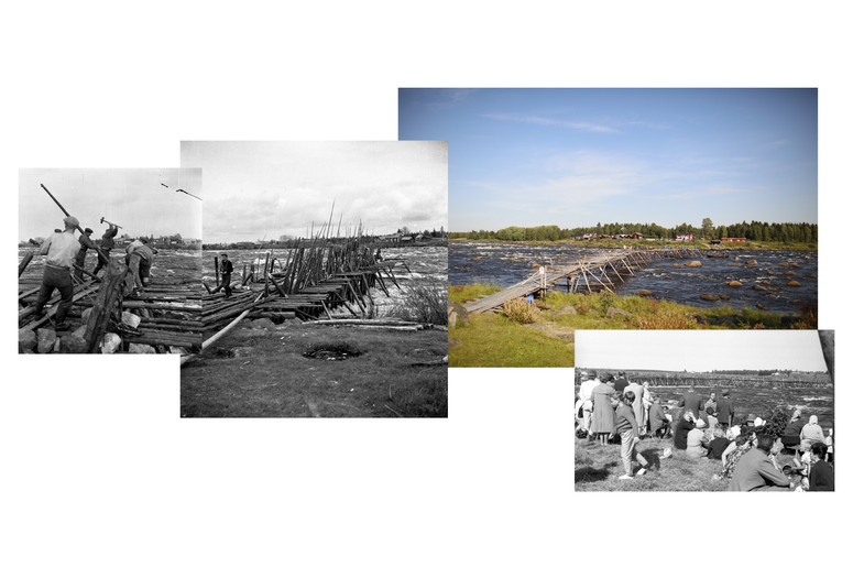 Synchronic Collage of Fishing Landscape in Kukkola, Sweden. Collage by Stefano Tornieri