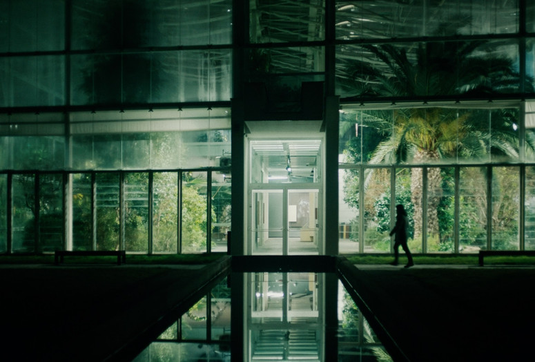 Bestiari, Erbari, Lapidari (Bestiaries, Herbaria, Lapidaries). 2024. Italy/Switzerland. Directed by Massimo d’Anolfi, Martina Parenti. Courtesy Fandango