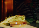 Corn. 1970. USA. Directed by Larry Gottheim. Courtesy Larry Gottheim.