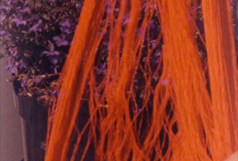 The Red Thread. 1987. USA. Directed by Larry Gottheim. Courtesy Larry Gottheim.