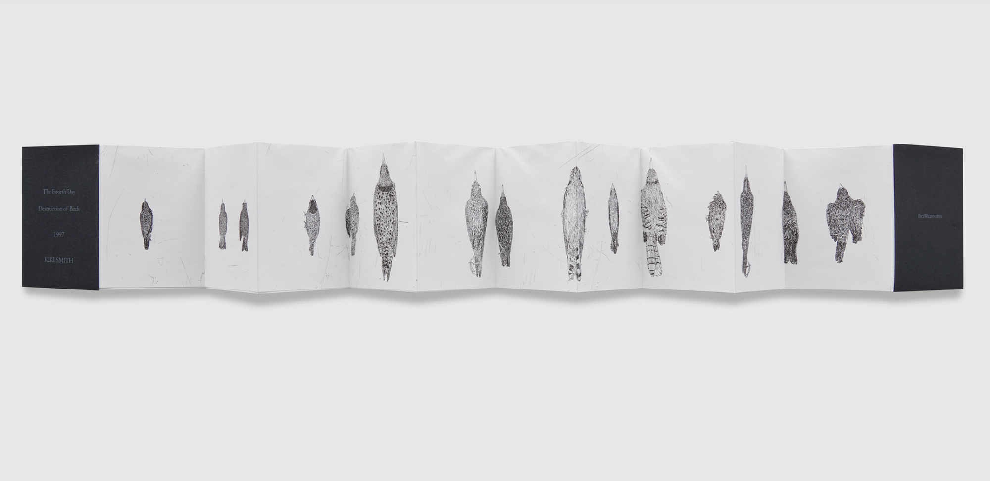 Kiki Smith. _Destruction of Birds_. 1997, Dated 1998