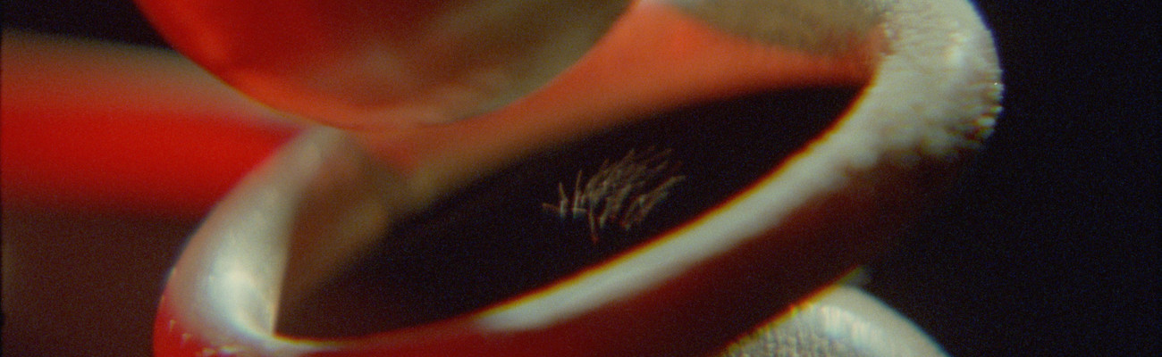 Rosa Barba. Charge. 2025. 35mm film (color, sound), 25:33 min. Co-commissioned by The Museum of Modern Art, New York, and The Vega Foundation, Toronto. ©️ Rosa Barba