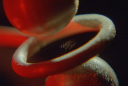 Rosa Barba. Charge. 2025. 35mm film (color, sound), 25:33 min. Co-commissioned by The Museum of Modern Art, New York, and The Vega Foundation, Toronto. ©️ Rosa Barba