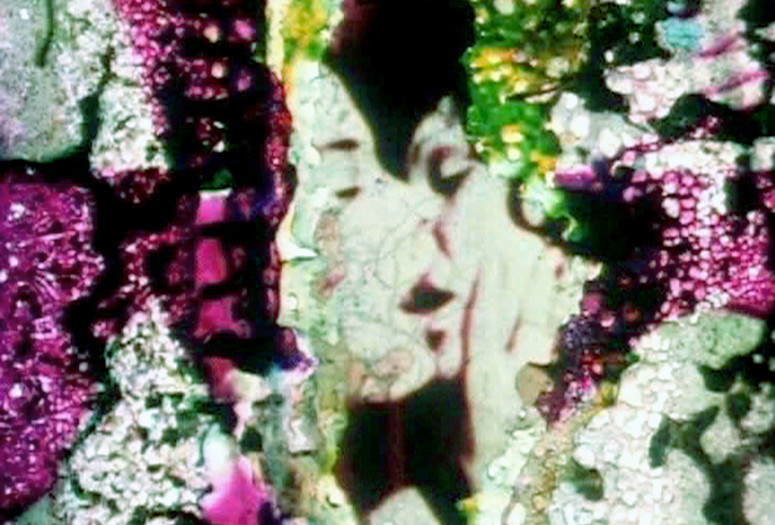 The Color of Love. 1994. USA. Directed by Peggy Ahwesh. Courtesy of the filmmaker