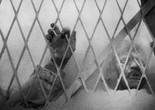 Vampyr. 1932. Directed by Carl Dreyer. Courtesy of Janus Films.