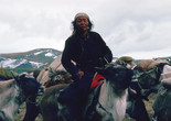 Taiga. 1992. Written and directed by Ulrike Ottinger. Courtesy of the filmmaker.