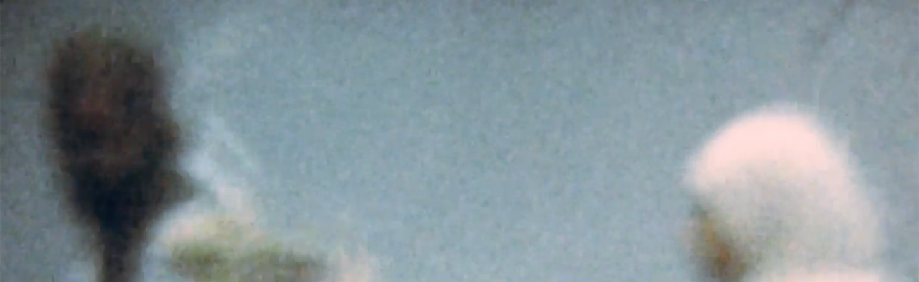 Ufuoma Essi. Half Memory. 2024. Super 8mm film transferred to high-definition video (color, sound), 30 min. Courtesy the artist